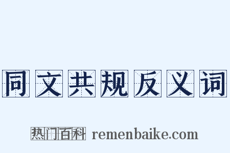同文共规反义词是什么意思的图片